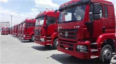 www.nonghua.huaibei.xinxiang.zz.pingliang.ww38.viennacitytours.com